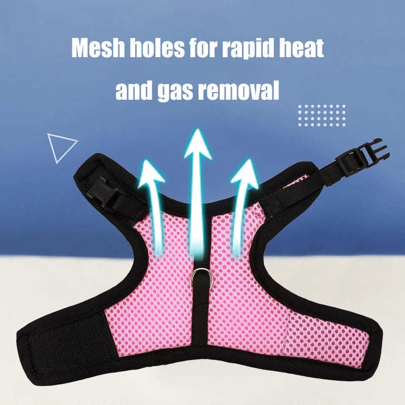 Breathable and stylish pet vest-style harness with adjustable soft strap and elastic leash set, suitable for rabbits and cats