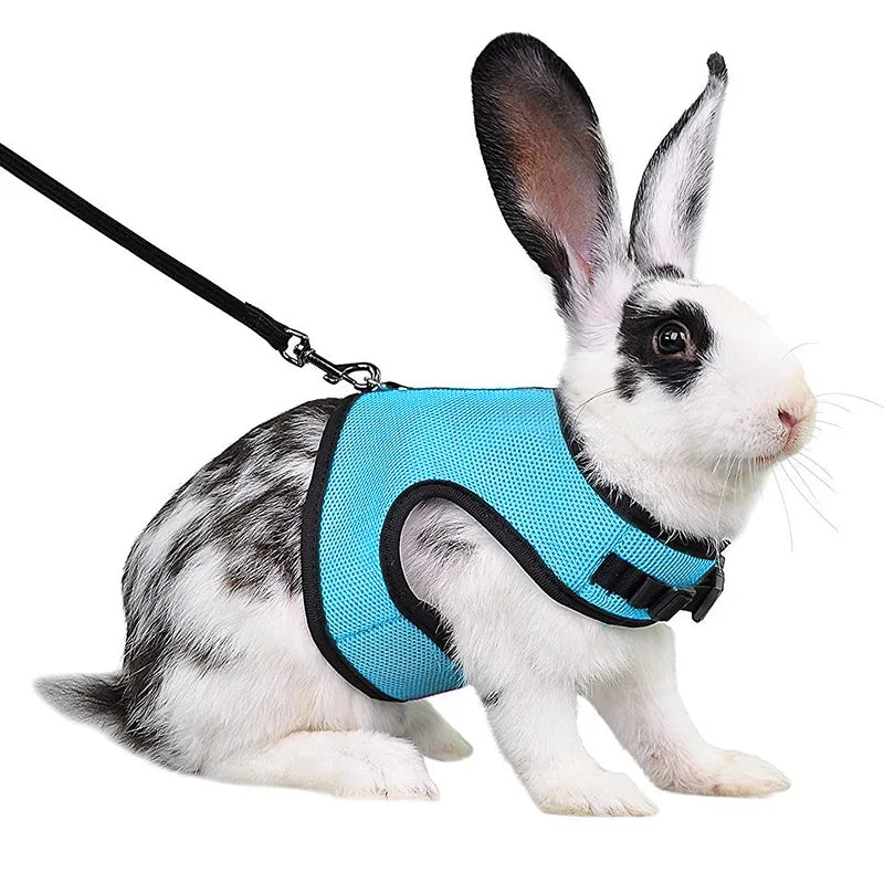 Breathable and stylish pet vest-style harness with adjustable soft strap and elastic leash set, suitable for rabbits and cats