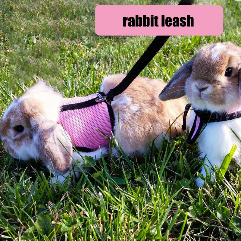 Breathable and stylish pet vest-style harness with adjustable soft strap and elastic leash set, suitable for rabbits and cats