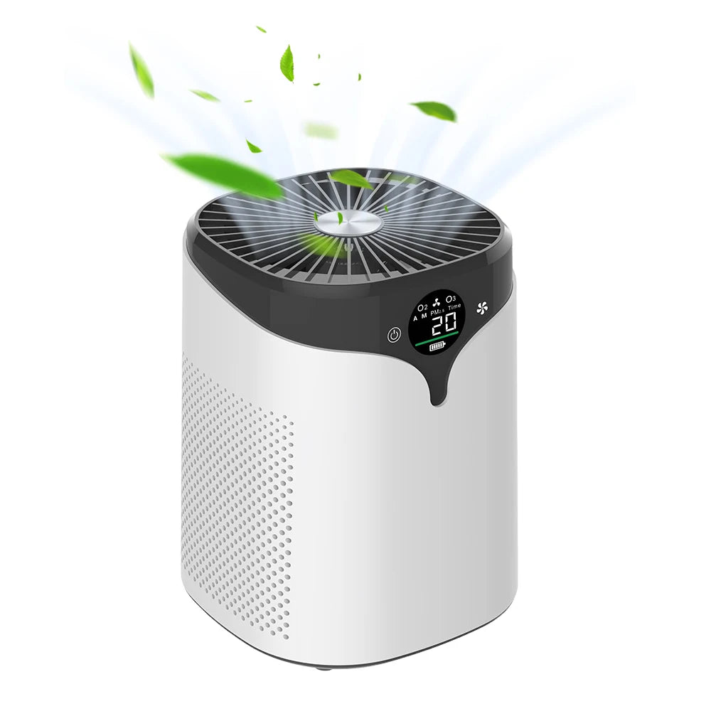 PM2.5 Air Purifier Negative Ion Purifier Pet Hair Dust Smog Air Purifier with Digital Display & Timer for Home