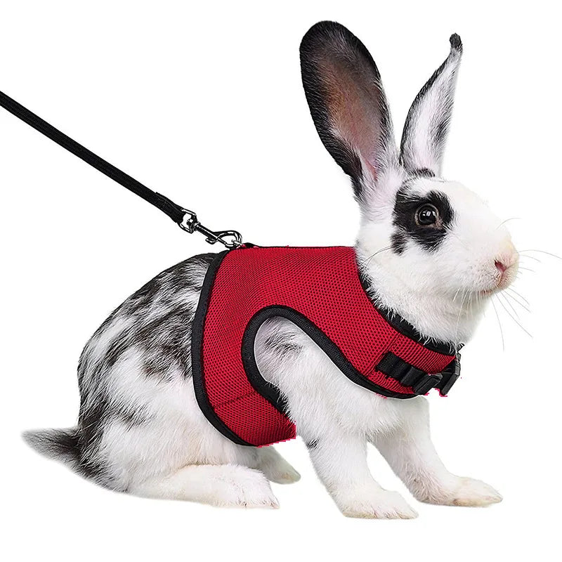 Breathable and stylish pet vest-style harness with adjustable soft strap and elastic leash set, suitable for rabbits and cats
