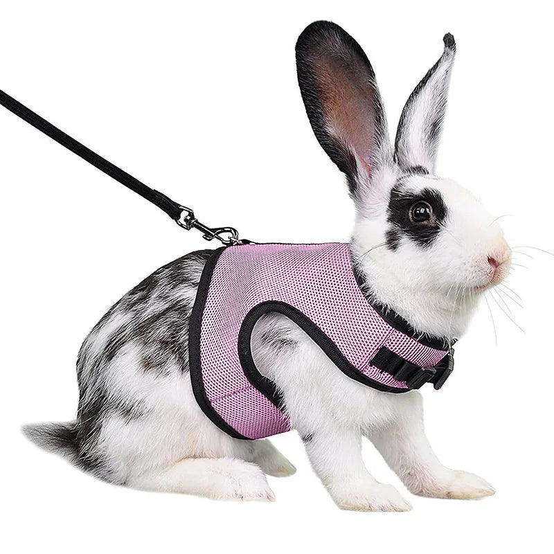 Breathable and stylish pet vest-style harness with adjustable soft strap and elastic leash set, suitable for rabbits and cats