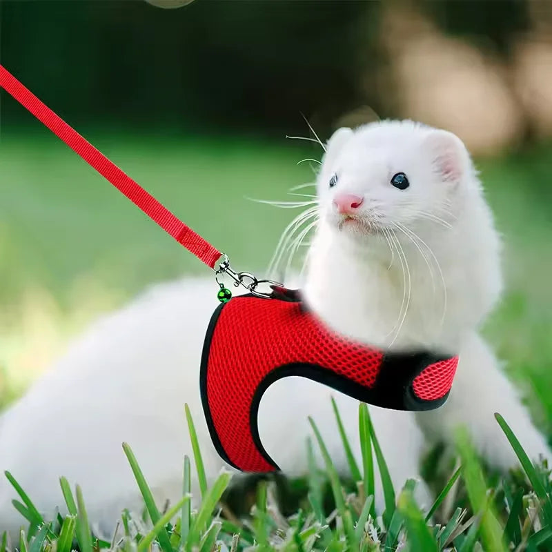 Breathable and stylish pet vest-style harness with adjustable soft strap and elastic leash set, suitable for rabbits and cats