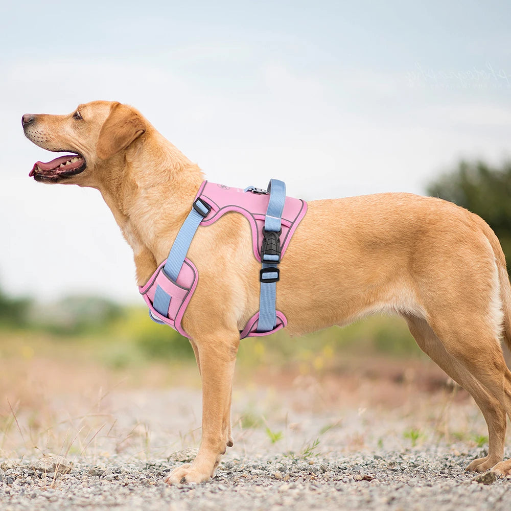 Mesh Breathable Dog Harness Nylon Reflective Dog Harnesses Vest Durable Pet Training Vest Adjustable for Small Medium Large Dogs
