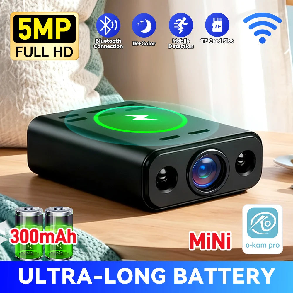 Indoor Mini Security Camera 2.4G WiFi 2-Way Talk Motion Detection Alerts Night View P2P CCTV Baby Monitor Surveillance Video Cam