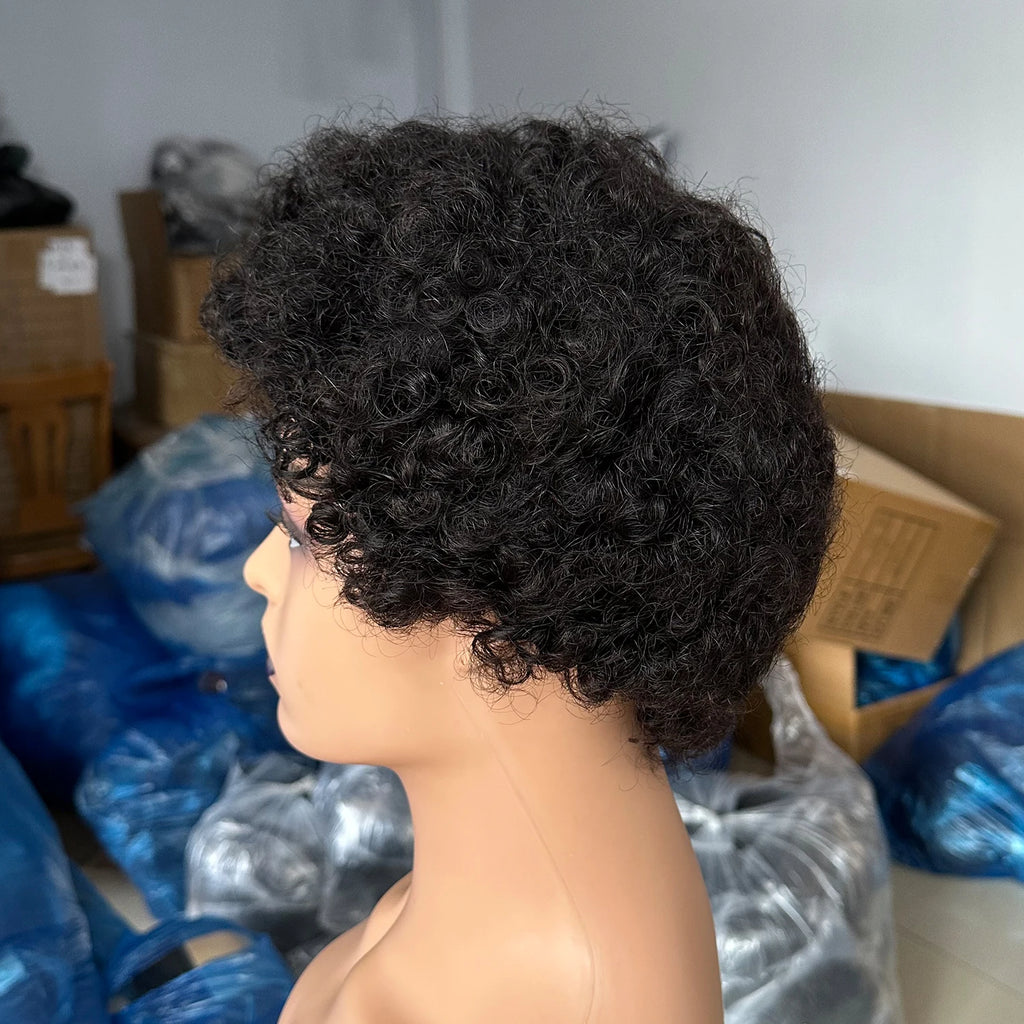 Brazilian Short Pixie Cut Wigs For Black Women Human Hair Afro Kinky Curly Wig African Curly Full Machine Made Wig