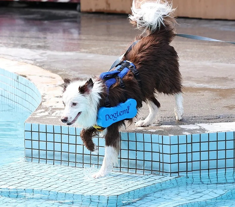 2 in 1 Summer Dog Swimming Rescue Vest Harnesses Adjustable Dogs Life Saving Jacket Swim Chest Strap Walking Out Vest Harnesses