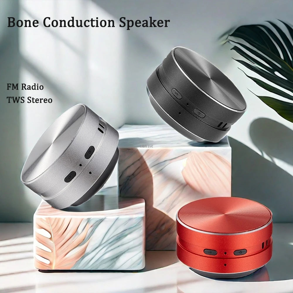 2026 New Bone Conduction Bluetooth Speaker TWS Wireless 3D Stereo Sound Hummingbird Speaker With FM Radio Dropshipping Wholesale
