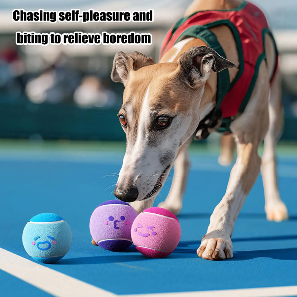 Tennis Balls for Dogs 6 Pieces Small Pet Exercise Fetch Toys Squeaky Dog Balls for Puppy Playful Outdoor Backyard Park Garden