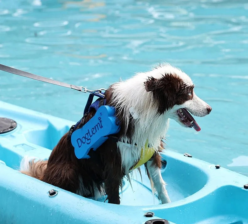 2 in 1 Summer Dog Swimming Rescue Vest Harnesses Adjustable Dogs Life Saving Jacket Swim Chest Strap Walking Out Vest Harnesses