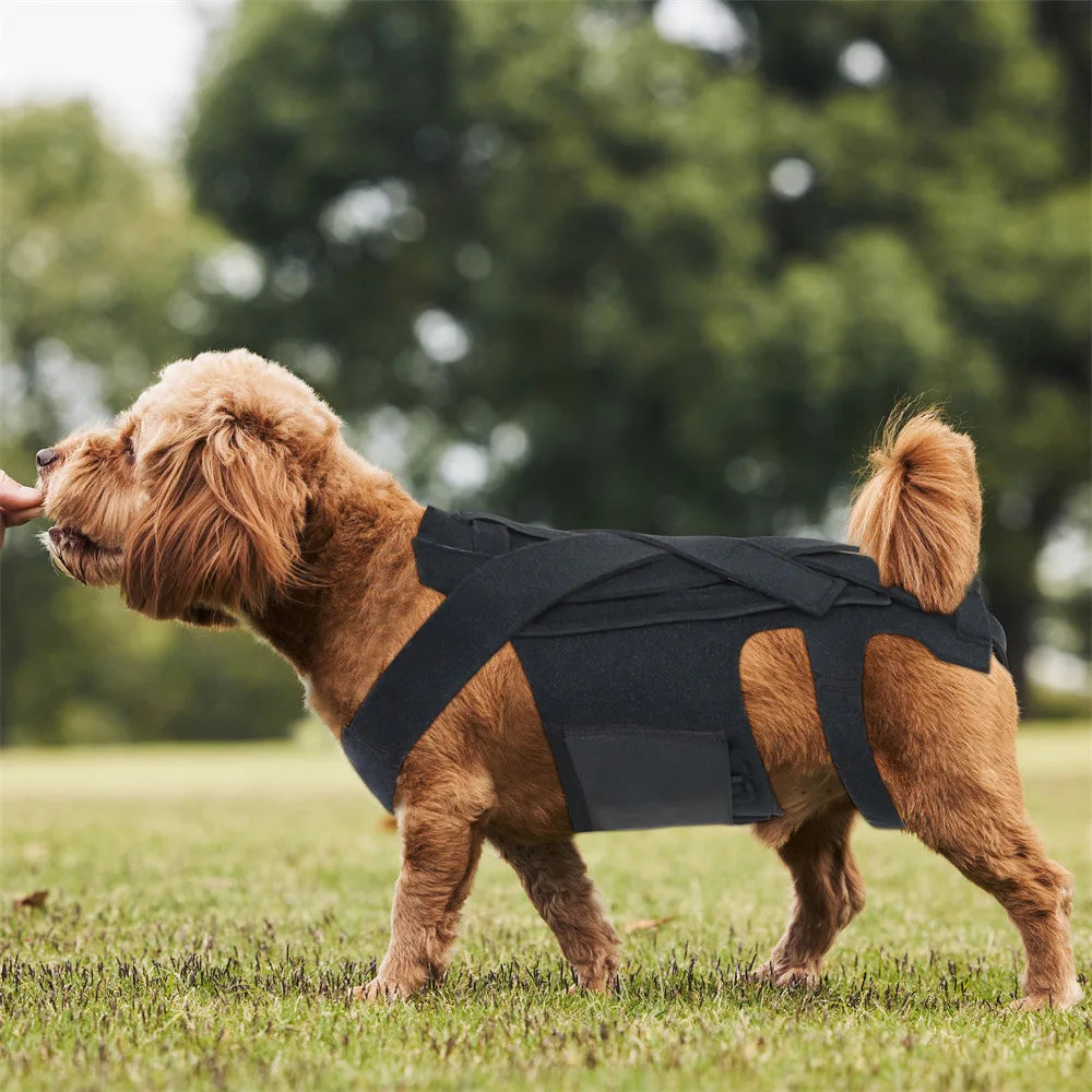 Harness For Dogs Breathable Adjustable Dog Vest Harness Pet NO PULL Vest Reflective For Medium Large Dog With Name Collar Patch