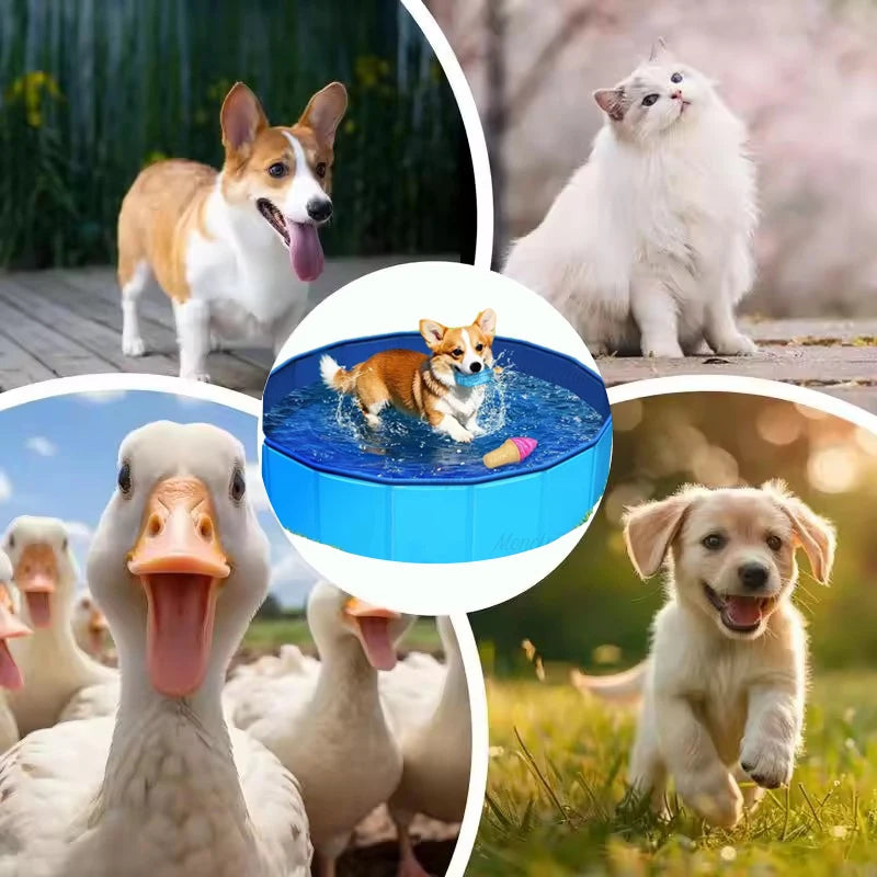 Foldable Pet Swimming Pool Pet Dogs Bathing Tub Pool Indoor Outdoor Kiddie Pool Portable Dog Pools for Pet Cleaning & Swimming