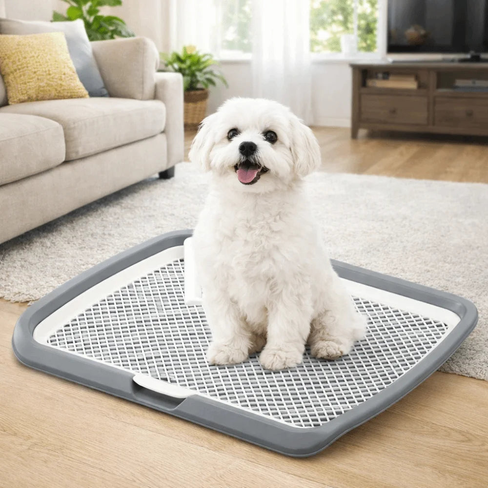 Pet Urine Basin Splash-Proof Dog Training Toilet Removable Net Mesh Dog Potty Toilet Open Top Plastic Pet Potty Pads Indoor Use