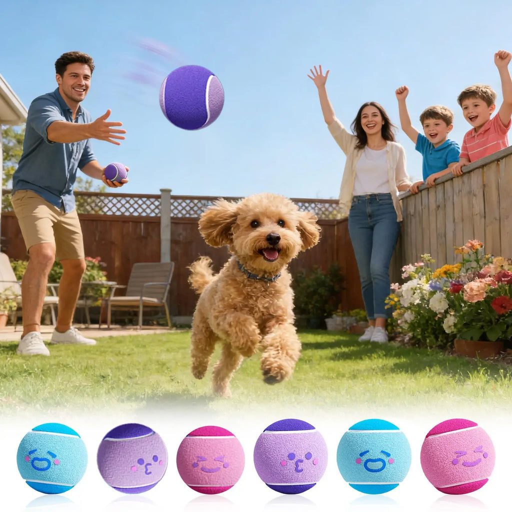 Tennis Balls for Dogs 6 Pieces Small Pet Exercise Fetch Toys Squeaky Dog Balls for Puppy Playful Outdoor Backyard Park Garden