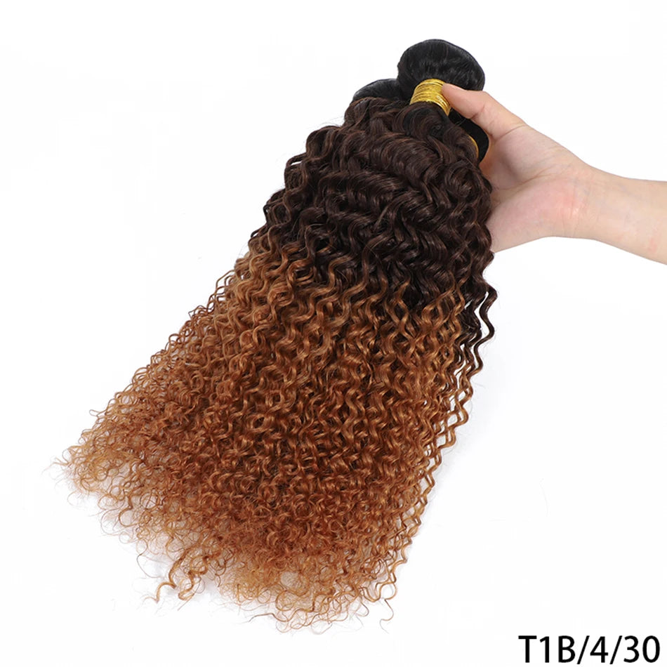 100% Brazilian Virgin Hair Ombre 1B 30 Kinky Curly Hair Bundles 12A Ombre Human Hair 1/3 Bundles Black To Brown Hair Extensions
