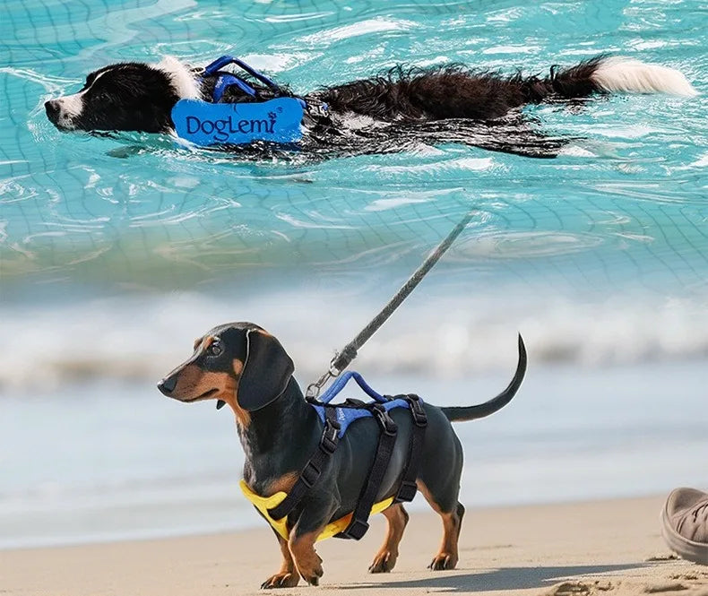 2 in 1 Summer Dog Swimming Rescue Vest Harnesses Adjustable Dogs Life Saving Jacket Swim Chest Strap Walking Out Vest Harnesses