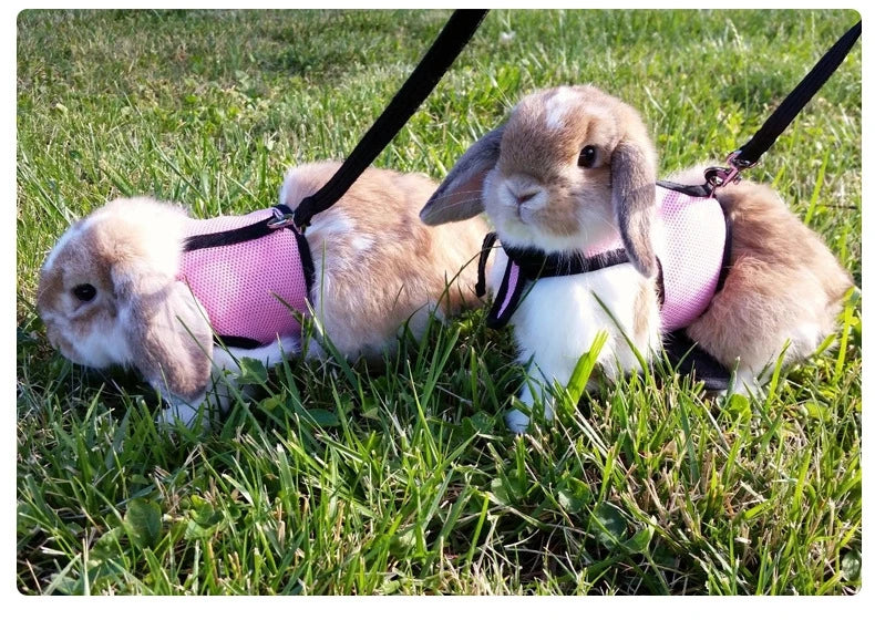 Harness with Leash Set for Rabbits Breathable Pet Vest for Rabbit Ferrets Guinea Pig Squirrel Adjustable Soft Small Pet Harness