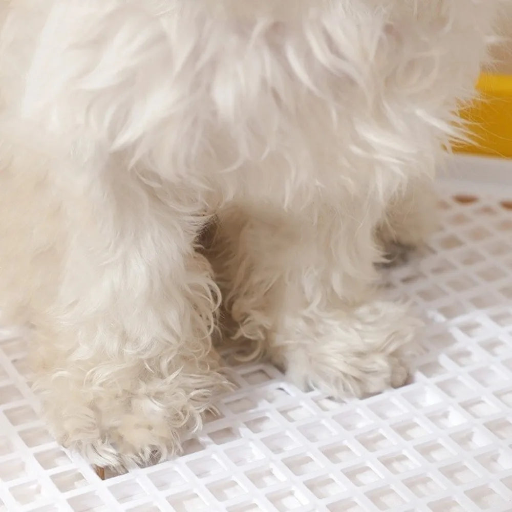 Pet Urine Basin Splash-Proof Dog Training Toilet Removable Net Mesh Dog Potty Toilet Open Top Plastic Pet Potty Pads Indoor Use