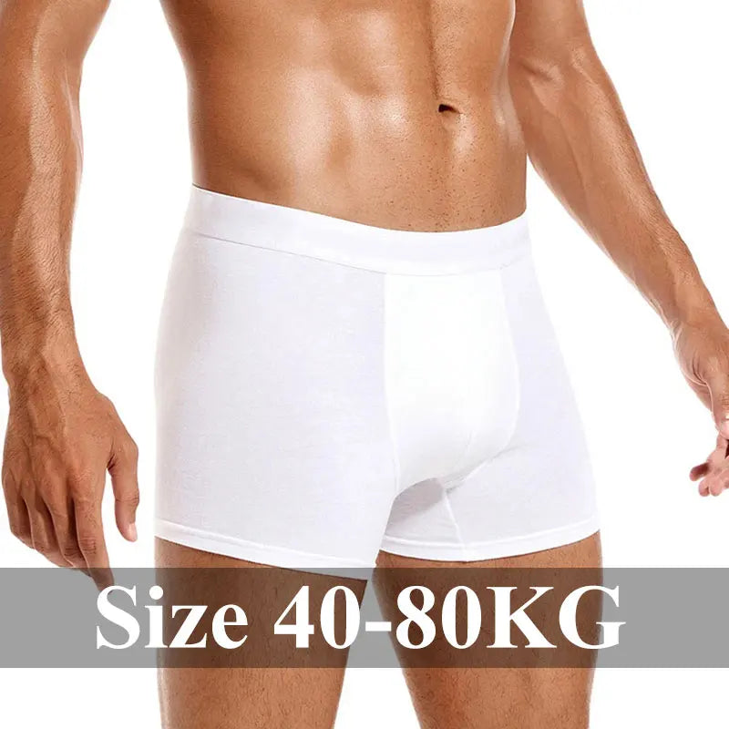 Men's Panties Underwear Boxer Shorts for Man Full Cotton Underpants Male Slip Boxershorts Homme Luxury Underwear Male Clothing