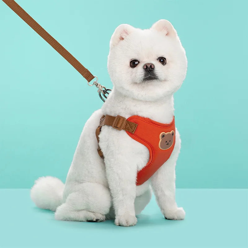 Pet Dog Harness Leash Set Small Medium Dog Cat Vest Breathable Puppy Chest Strap French Bulldog Chihuahua Harness Pet Supplies