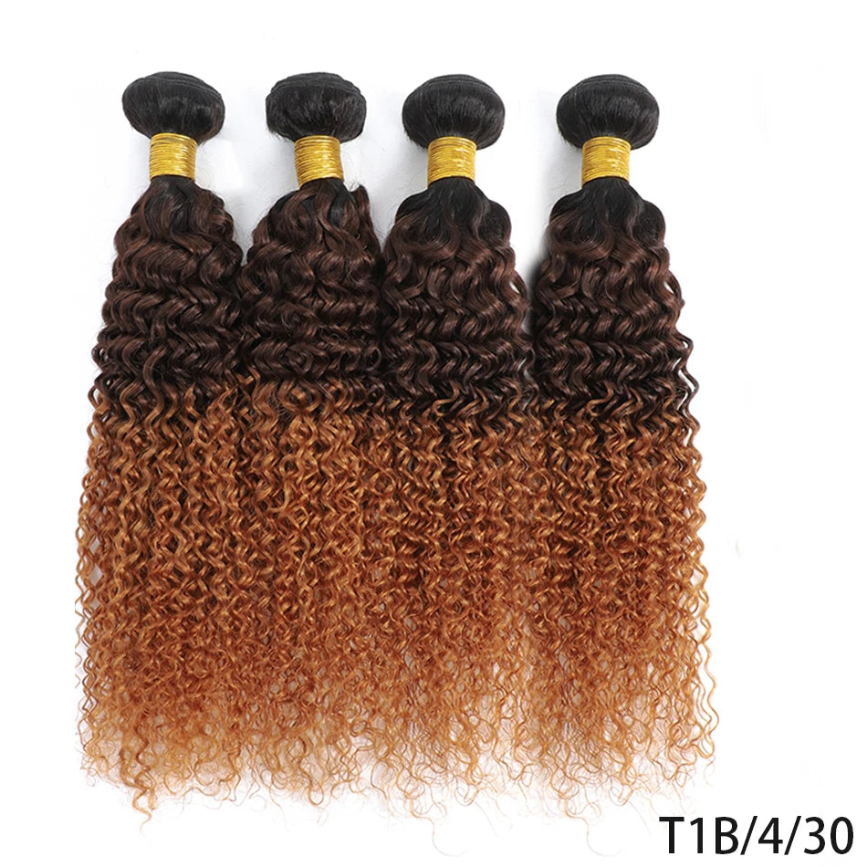 100% Brazilian Virgin Hair Ombre 1B 30 Kinky Curly Hair Bundles 12A Ombre Human Hair 1/3 Bundles Black To Brown Hair Extensions
