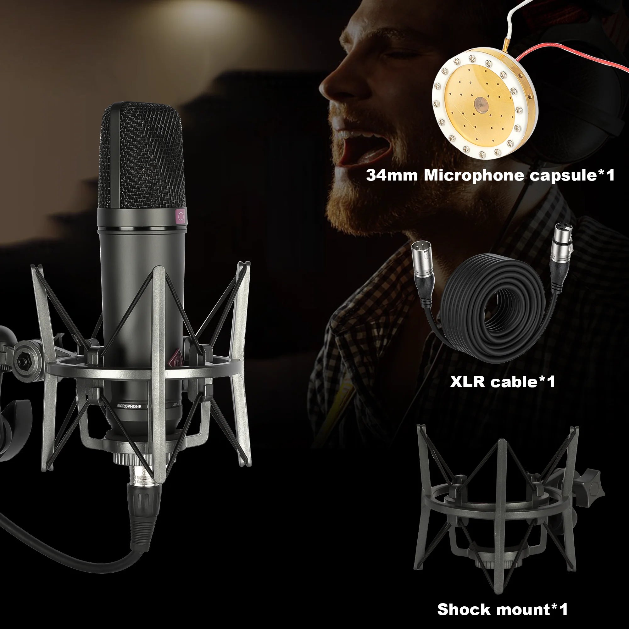 U87 AI Condenser Microphone Large Diaphragm Studio XLR Mic for Vocal Recording Podcast YouTube Live Stream Streaming Voice Over