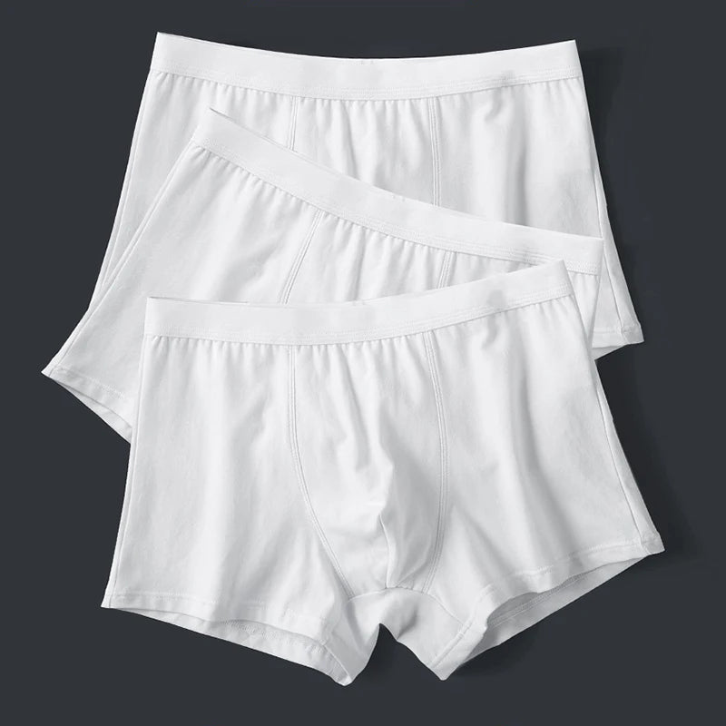 Men's Panties Underwear Boxer Shorts for Man Full Cotton Underpants Male Slip Boxershorts Homme Luxury Underwear Male Clothing