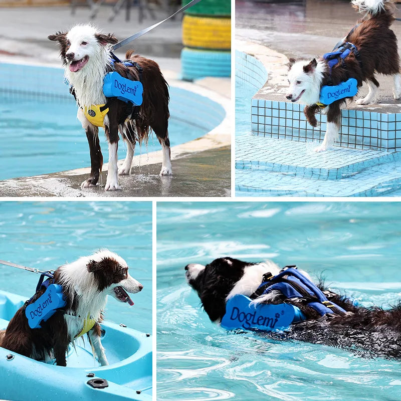 2 in 1 Summer Dog Swimming Rescue Vest Harnesses Adjustable Dogs Life Saving Jacket Swim Chest Strap Walking Out Vest Harnesses