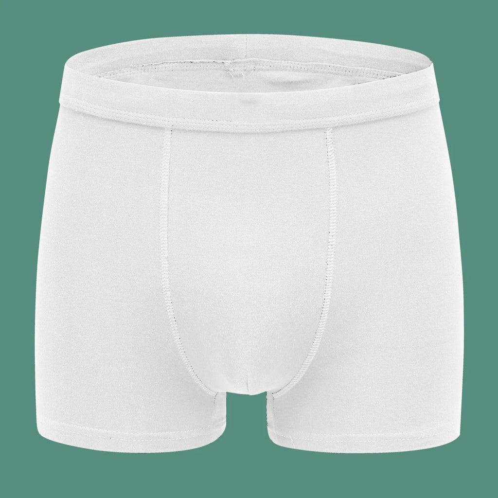 Men's Panties Underwear Boxer Shorts for Man Full Cotton Underpants Male Slip Boxershorts Homme Luxury Underwear Male Clothing
